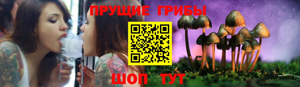 Псилоцибиновые грибы прущие грибы  купить  сайты  Чусовой  Вход с VPN 